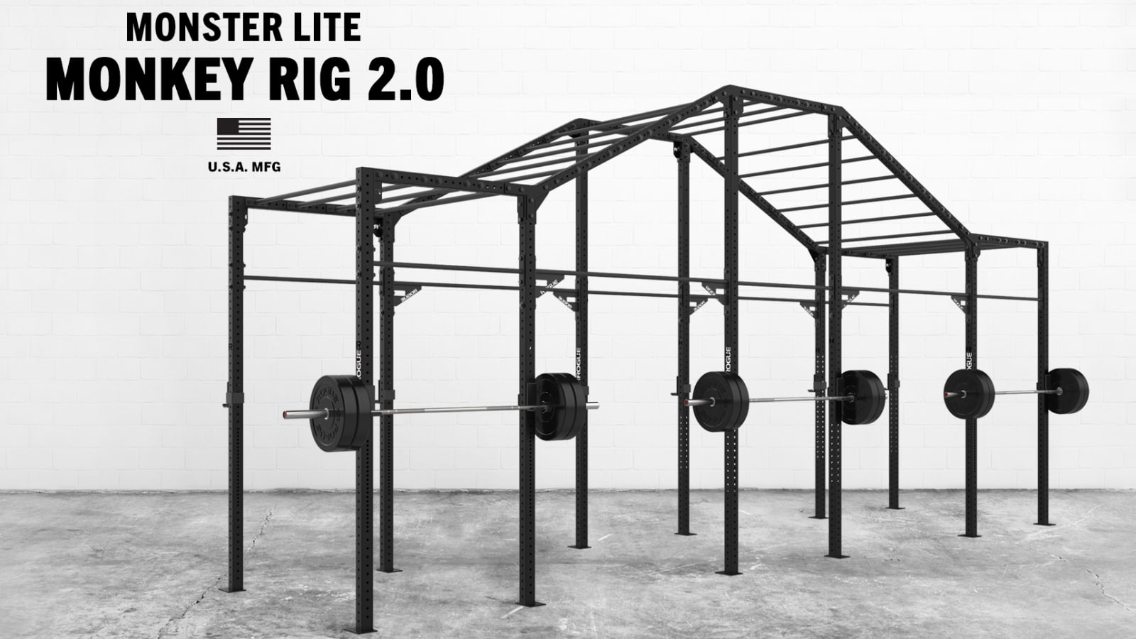 Rogue fitness infinity rig sales